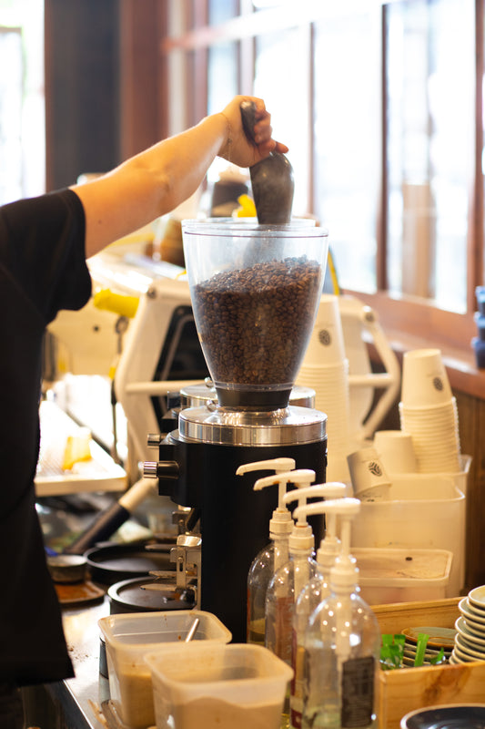 From Farm to Cup: Our Journey with Single Origin Coffee Bean